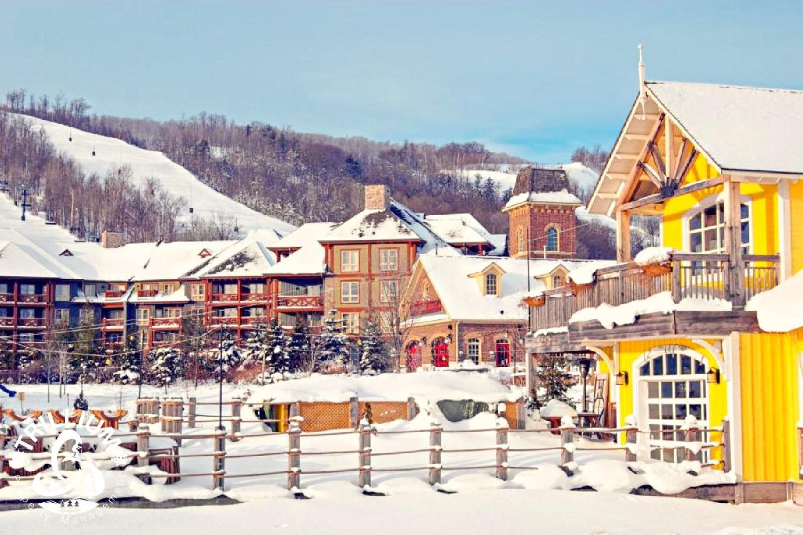 Blue Mountain, Collingwood - Loft Condo, Sleeps 4 Блу-Маунтінс Екстер'єр фото