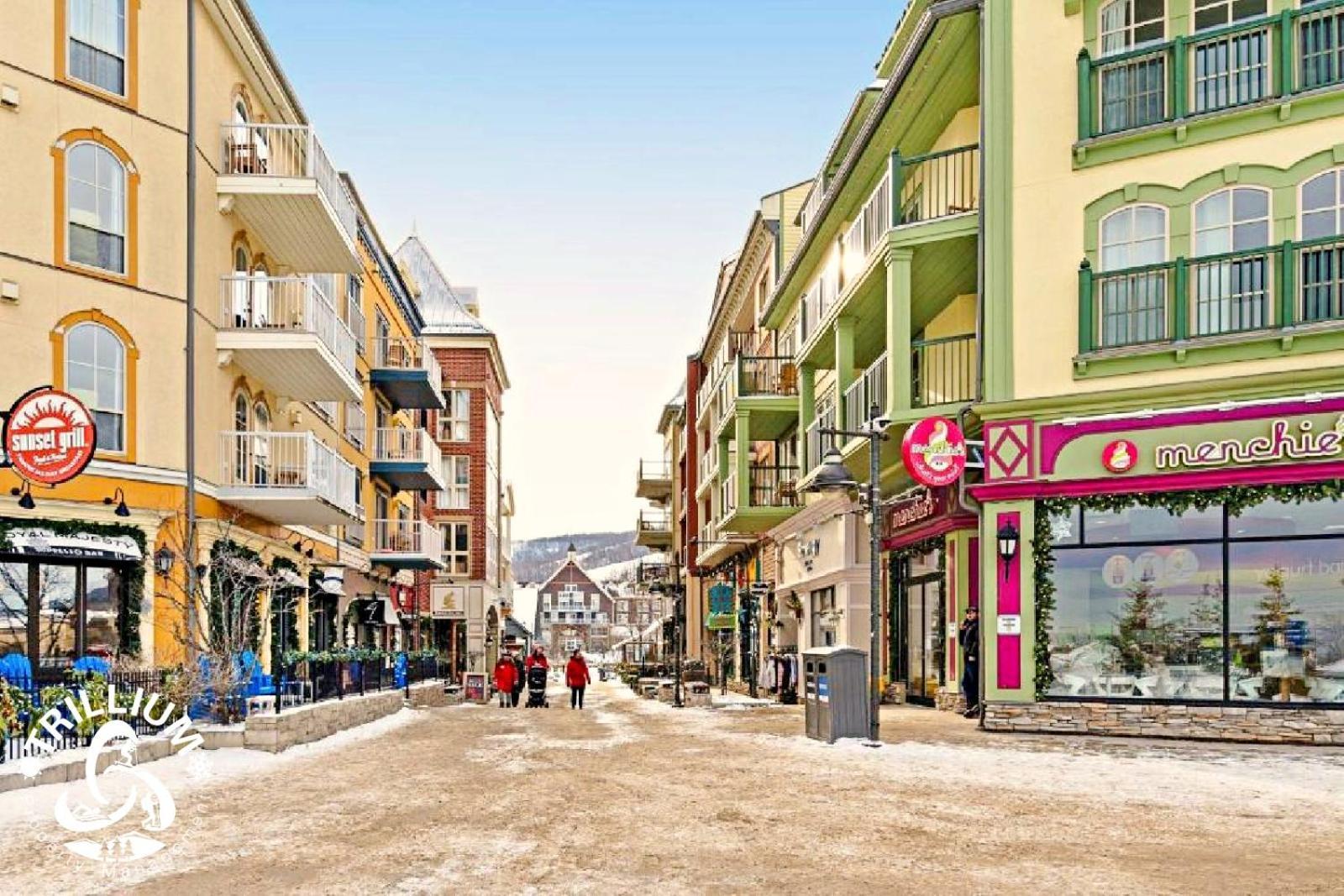 Blue Mountain, Collingwood - Loft Condo, Sleeps 4 Блу-Маунтінс Екстер'єр фото